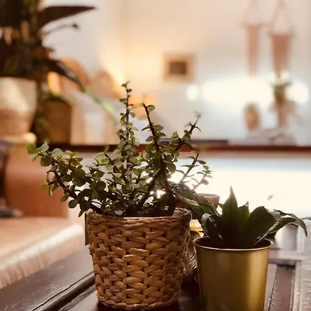 Rincon Botanico Holiday home *