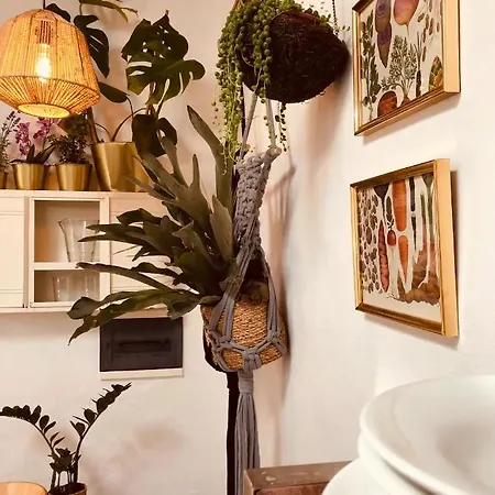 Rincon Botanico Holiday home *